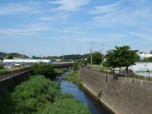 写真No.4