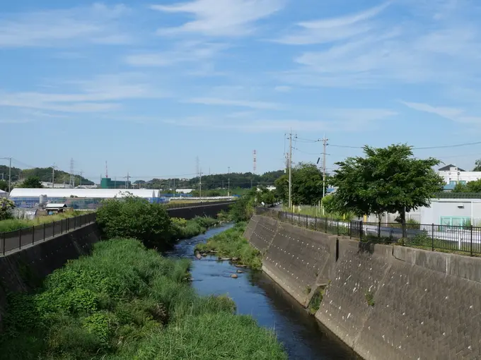 写真No.4