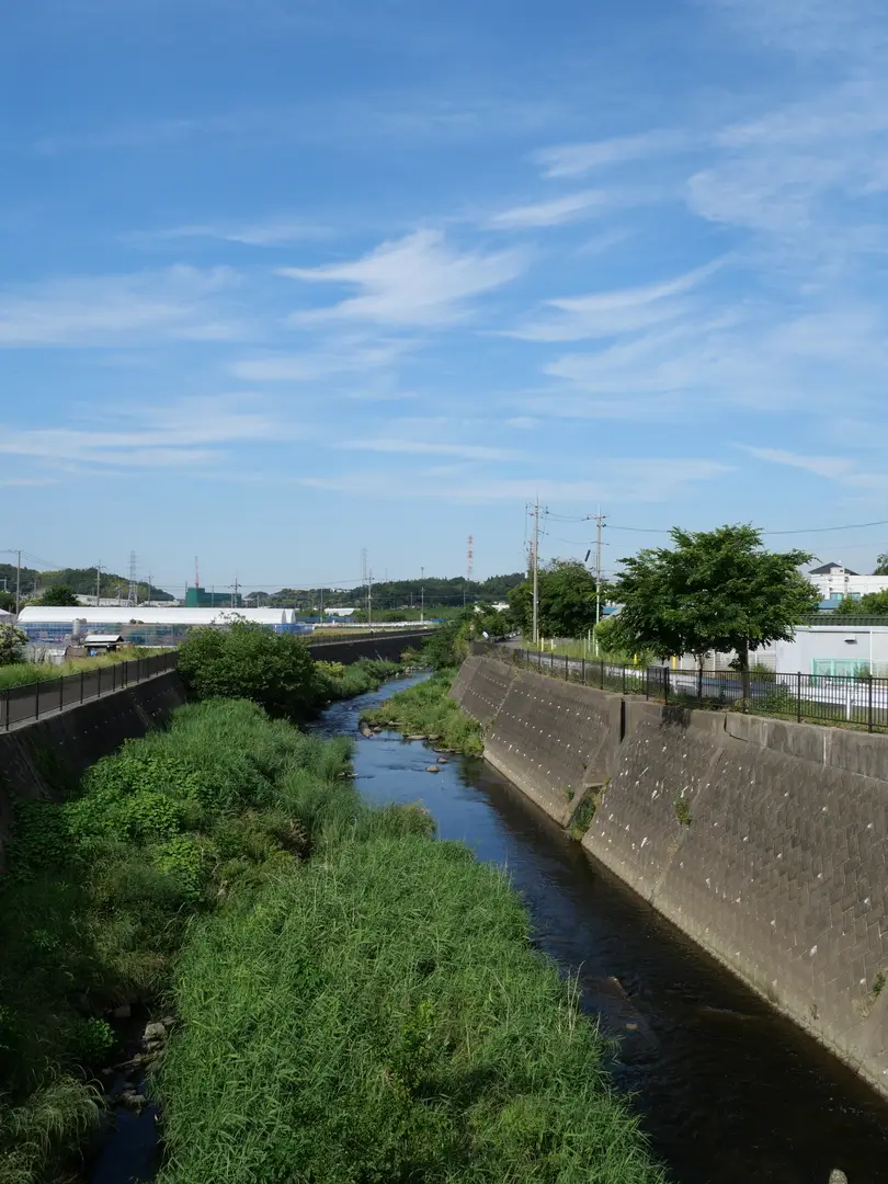 写真No.4