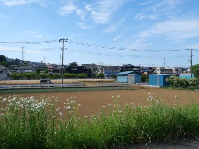 写真No.2