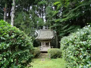 写真No.6