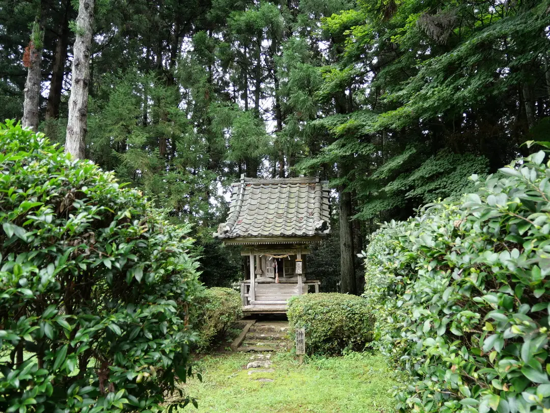 写真No.6
