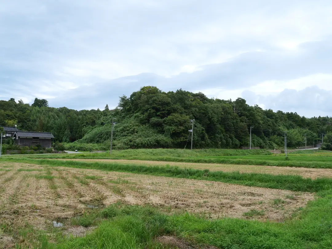 写真No.18