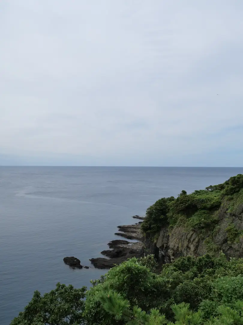 写真No.5