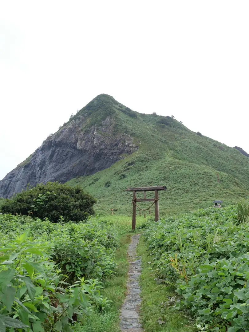 写真No.6