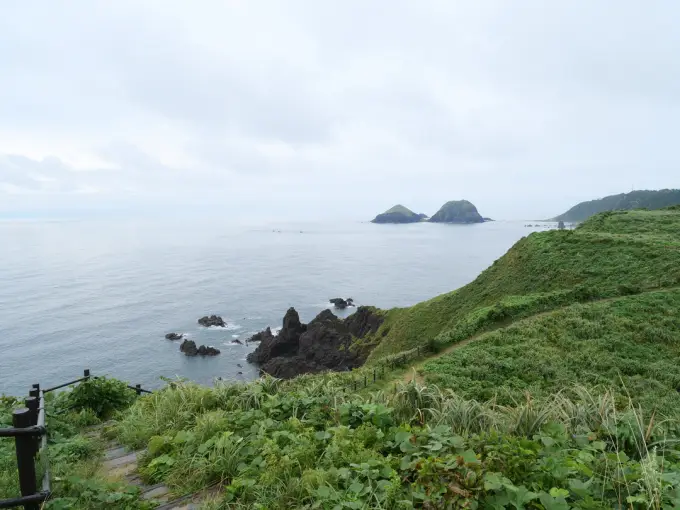 写真No.4