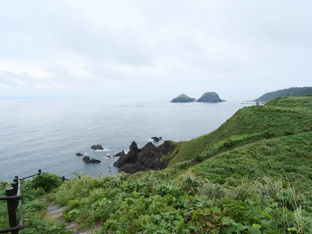 写真No.4