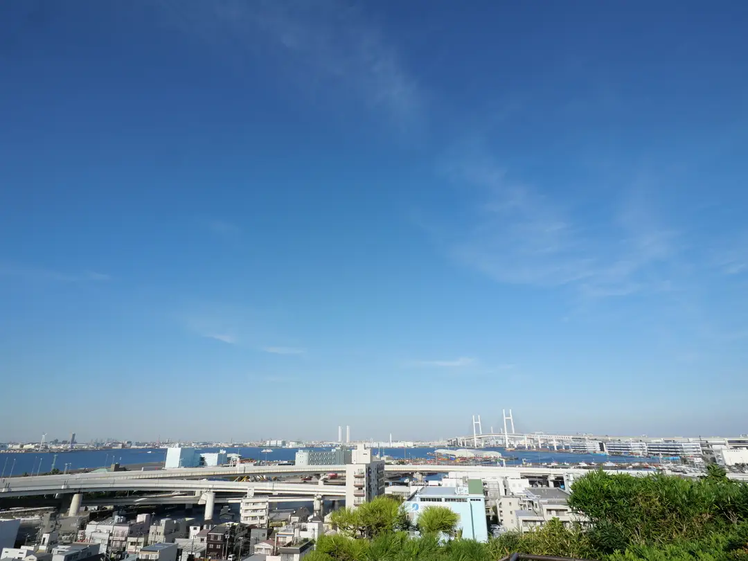 写真No.5