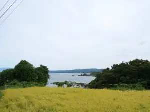 写真No.4