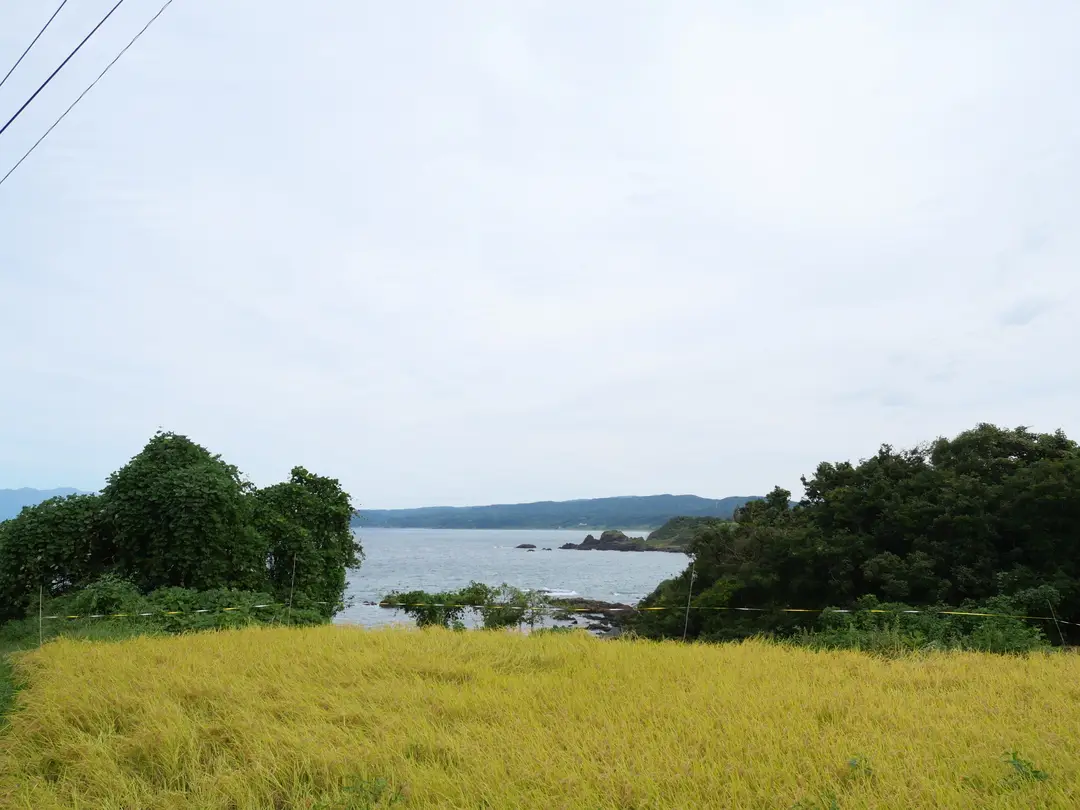 写真No.4