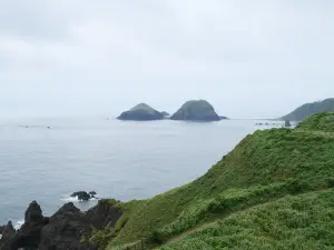 写真No.10