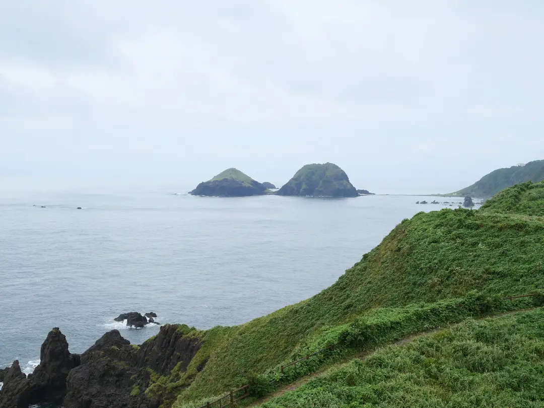 写真No.10