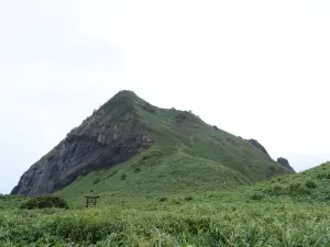 写真No.11