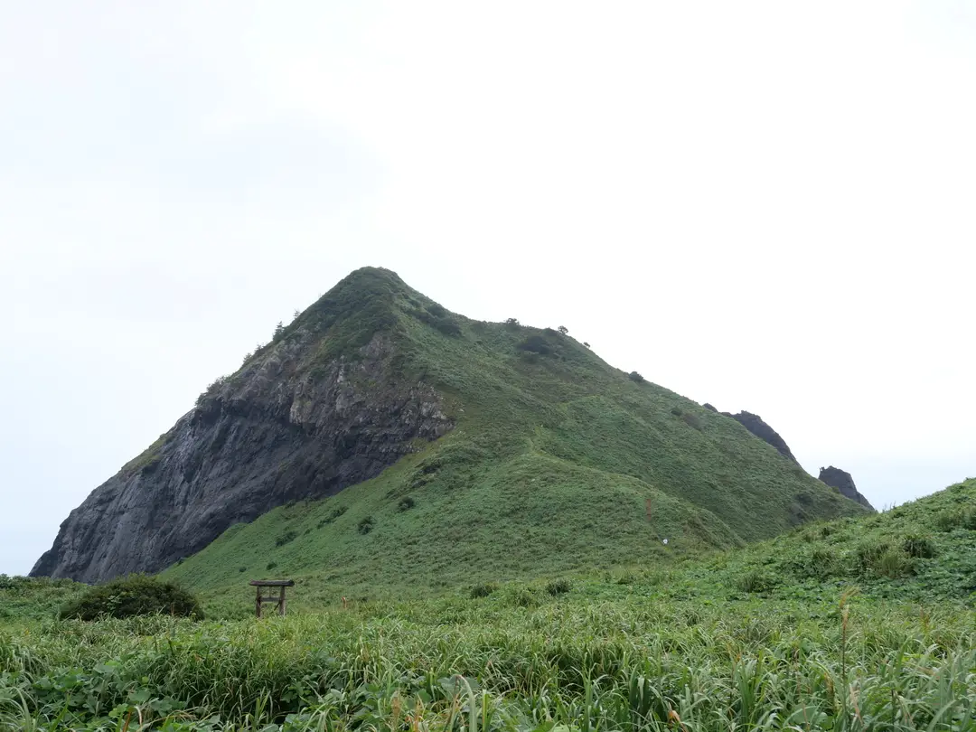 写真No.11