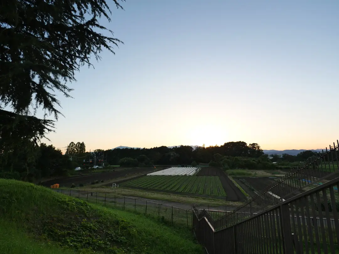 写真No.16