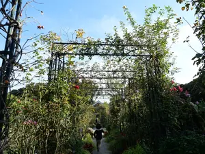写真No.8