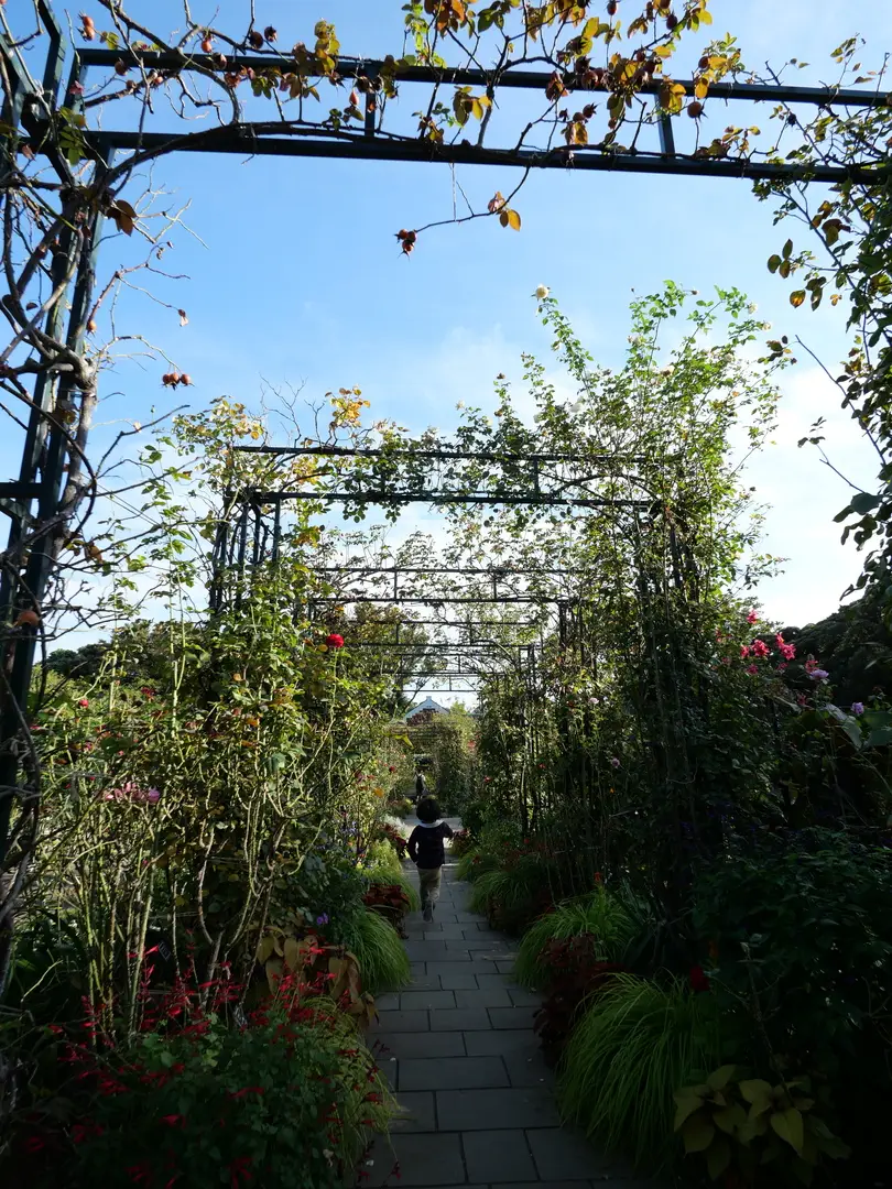 写真No.8