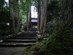 写真No.2