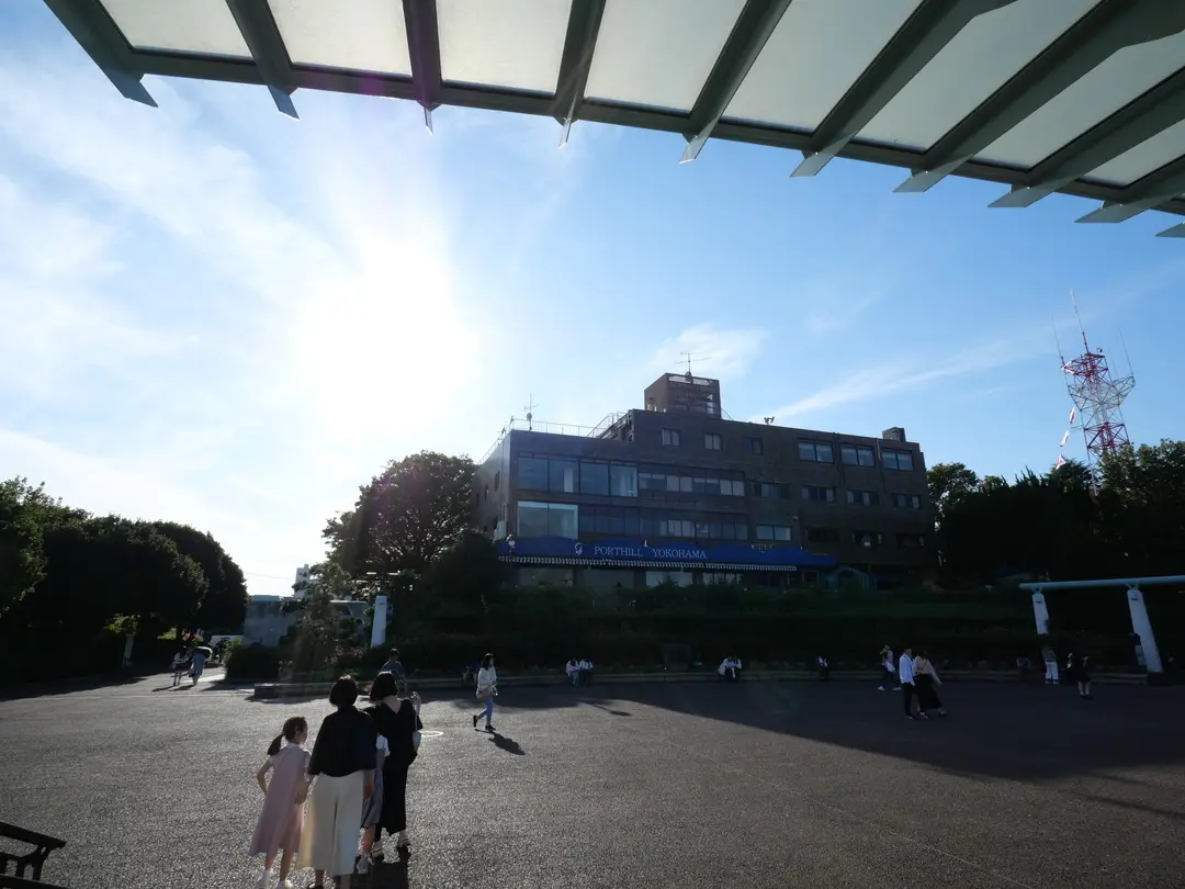 写真No.6