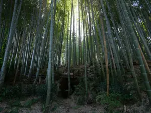 写真No.6