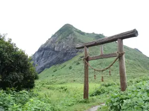 写真No.1
