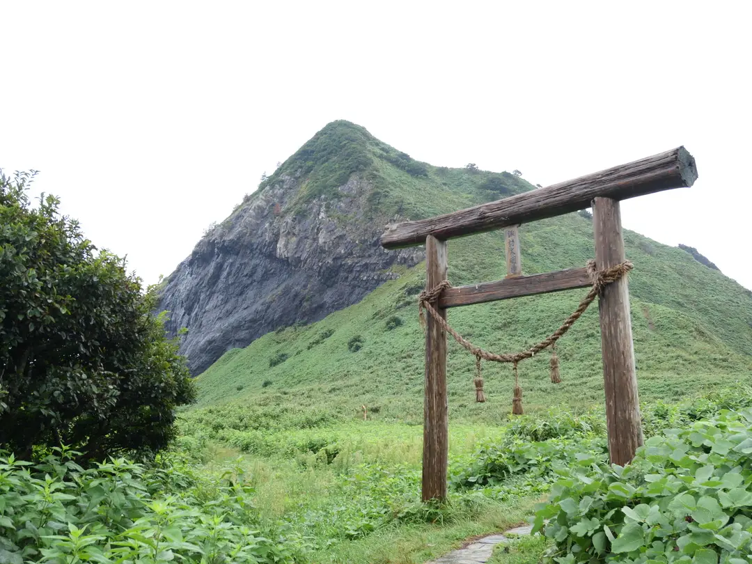写真No.1