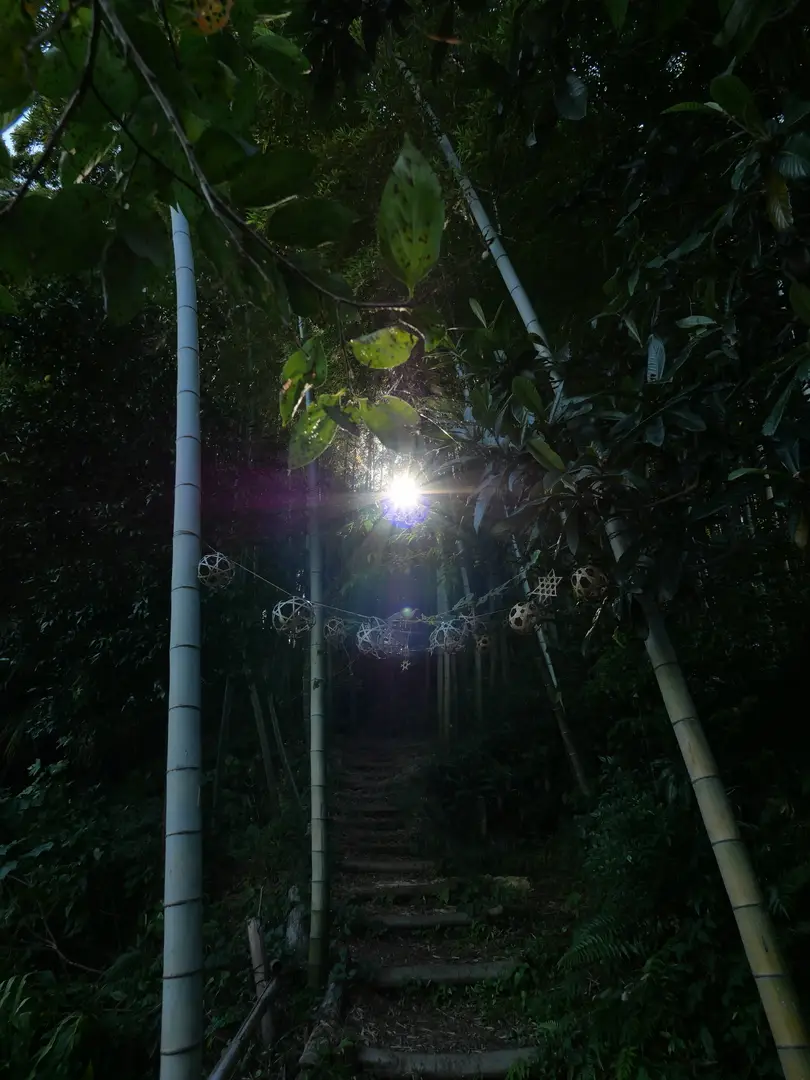 写真No.5