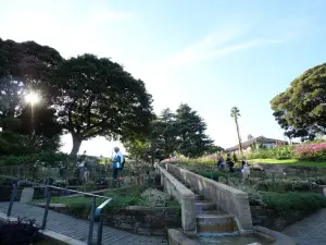 写真No.17