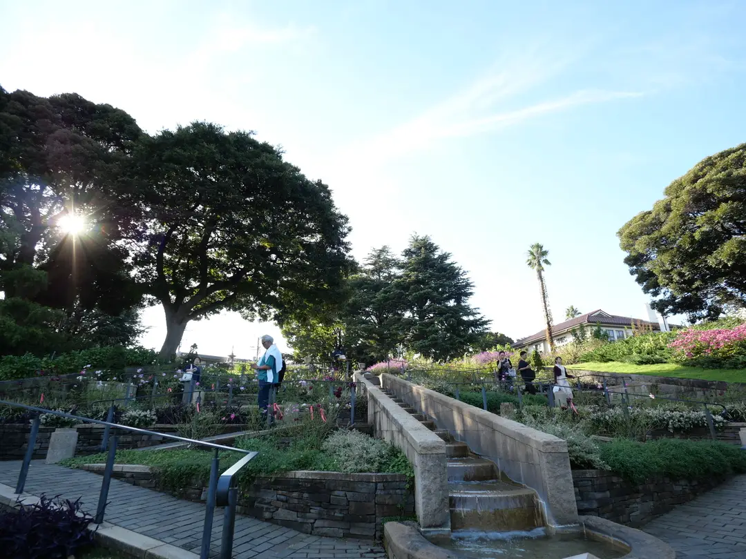 写真No.17