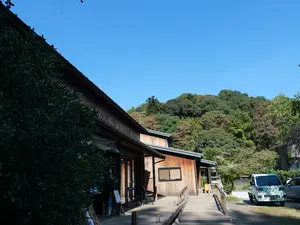 写真No.9