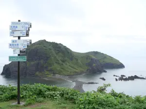 写真No.9