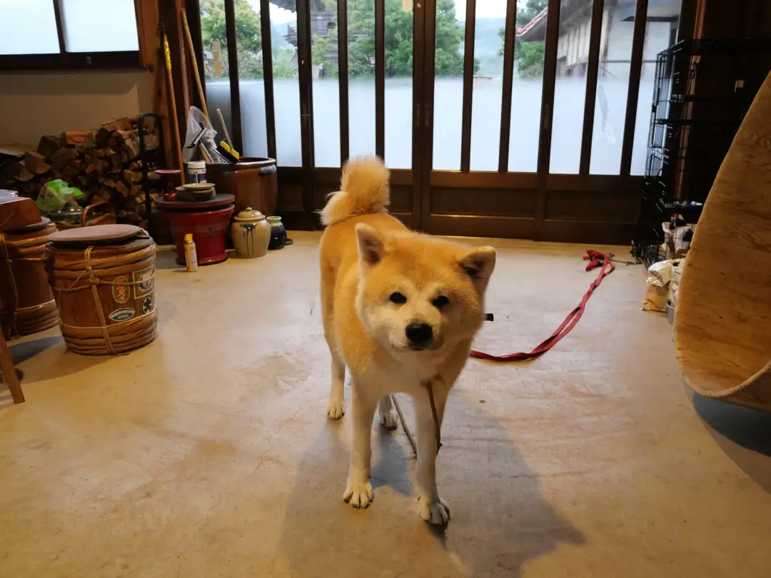 写真No.4