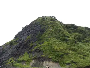 写真No.12