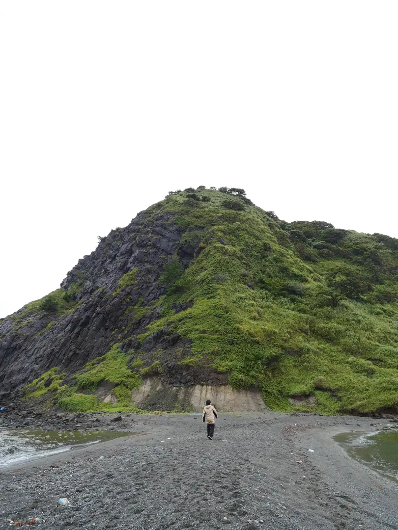 写真No.12