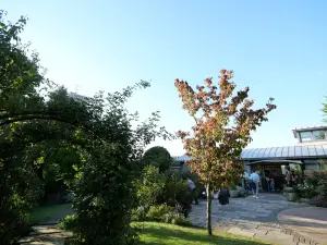 写真No.8