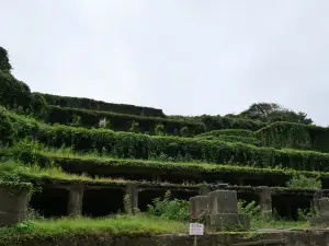 写真No.5