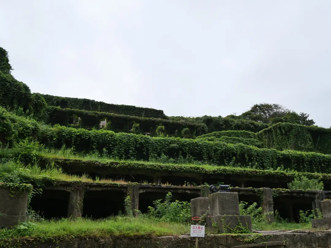 写真No.5