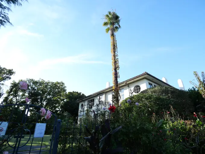 写真No.3