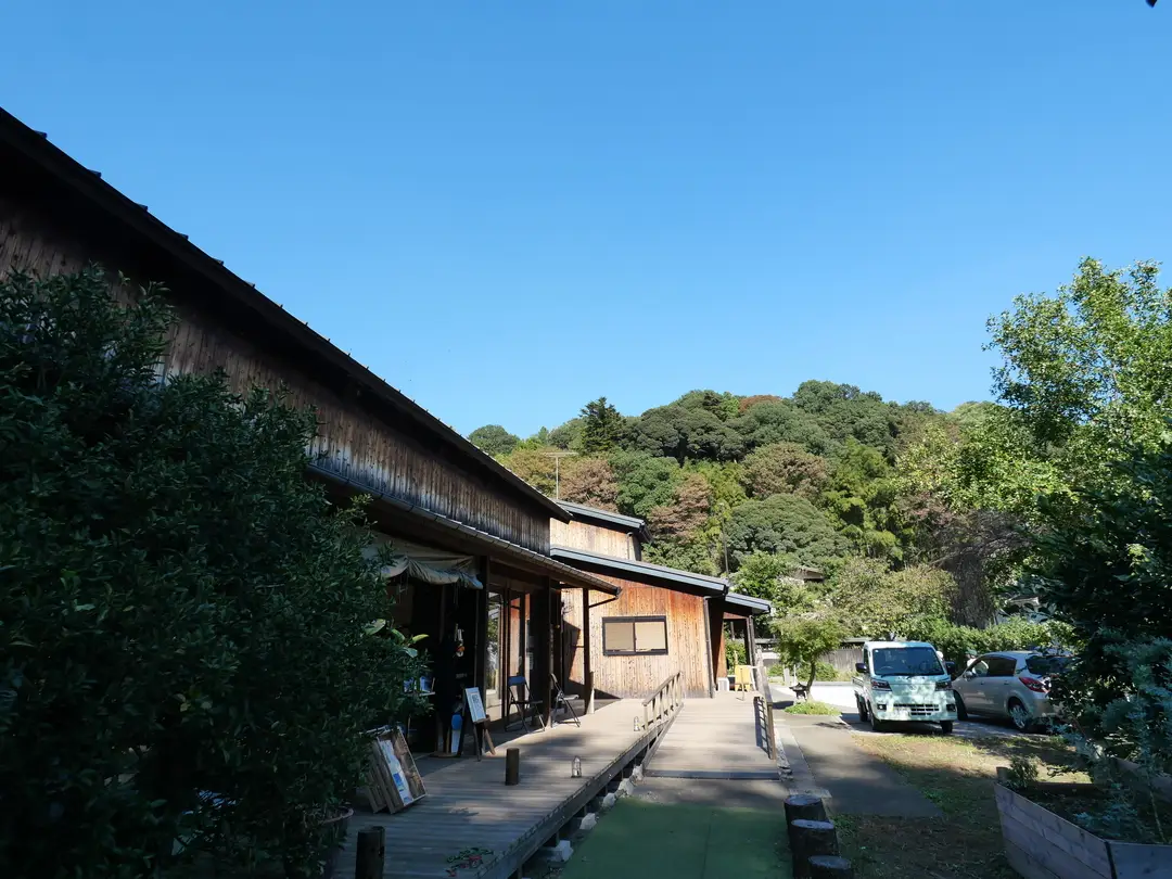 写真No.1