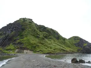 写真No.2