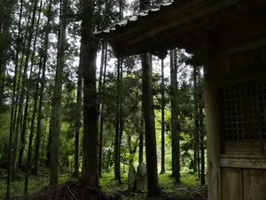 写真No.8