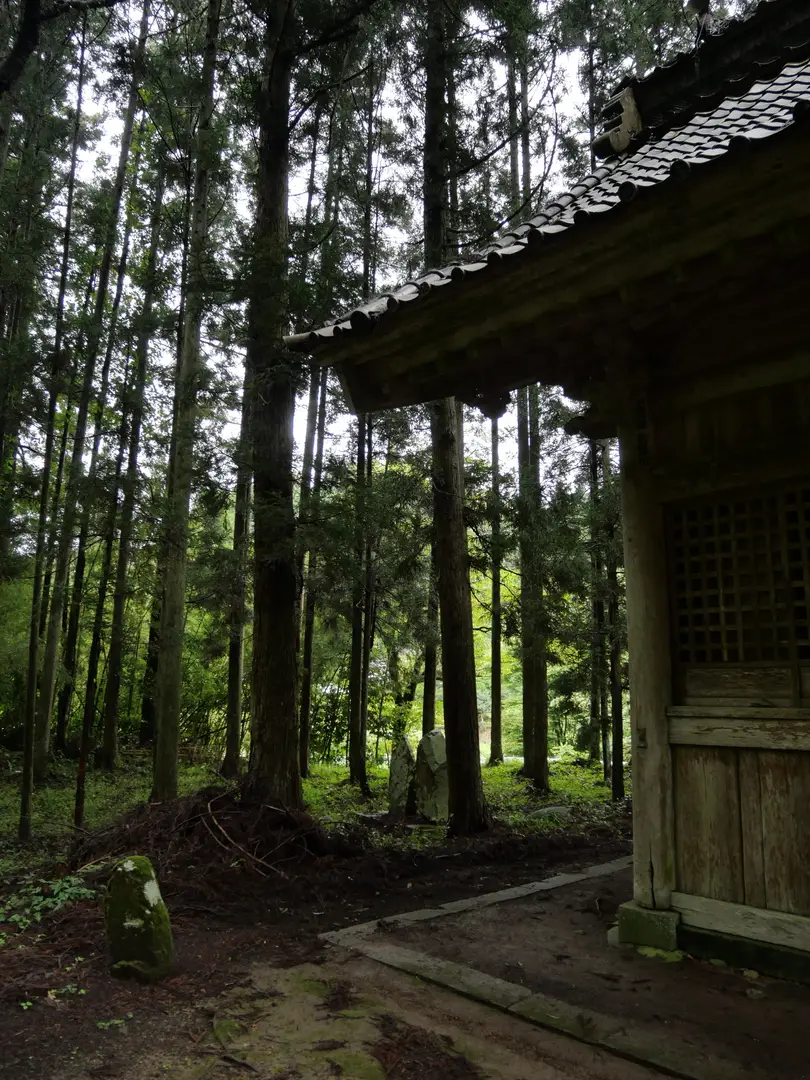 写真No.8