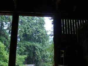 写真No.22