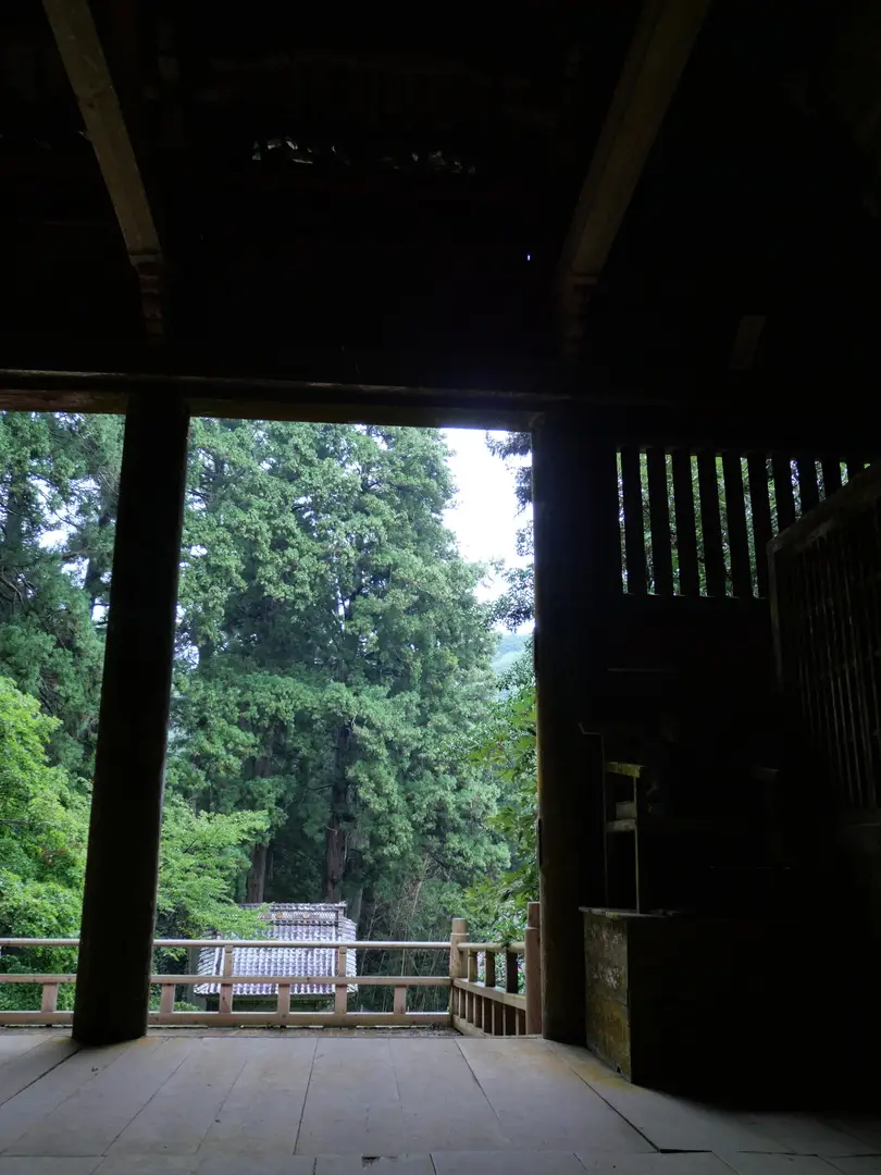 写真No.22