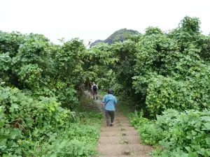 写真No.6