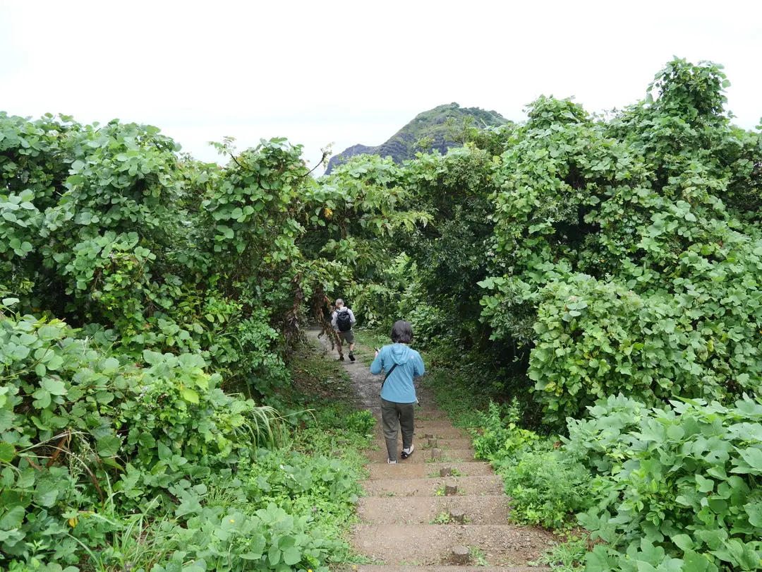 写真No.6