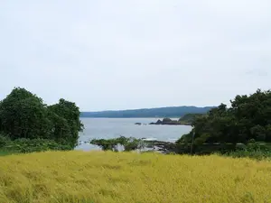 写真No.5