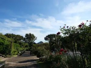 写真No.9