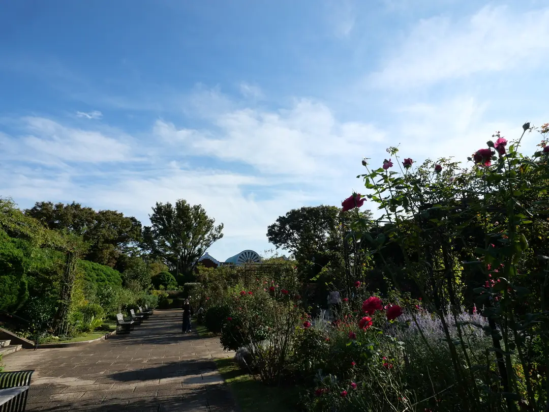 写真No.9