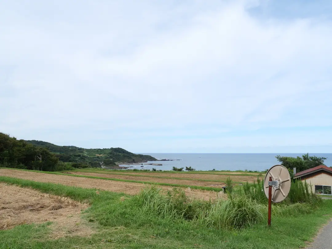 写真No.3